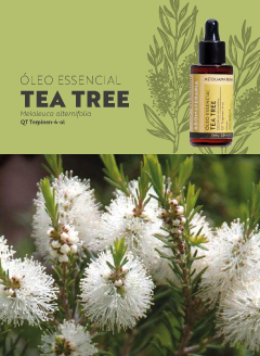 Ficha Técnica - Óleo Essencial - Tea Tree