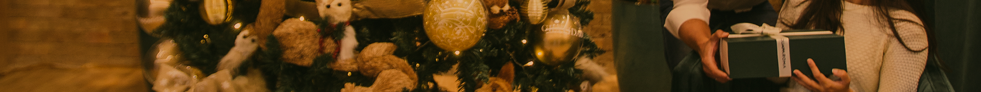 Banner Category