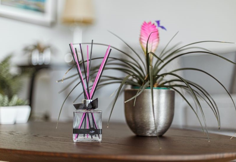 Vareta de Algodão Para Difusor Cor Rosa em Promoção